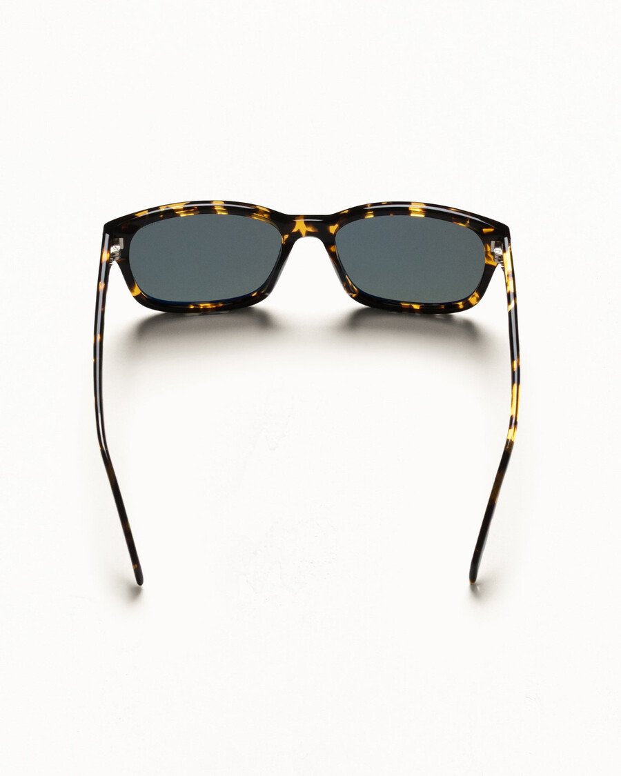 alan sonnenbrille