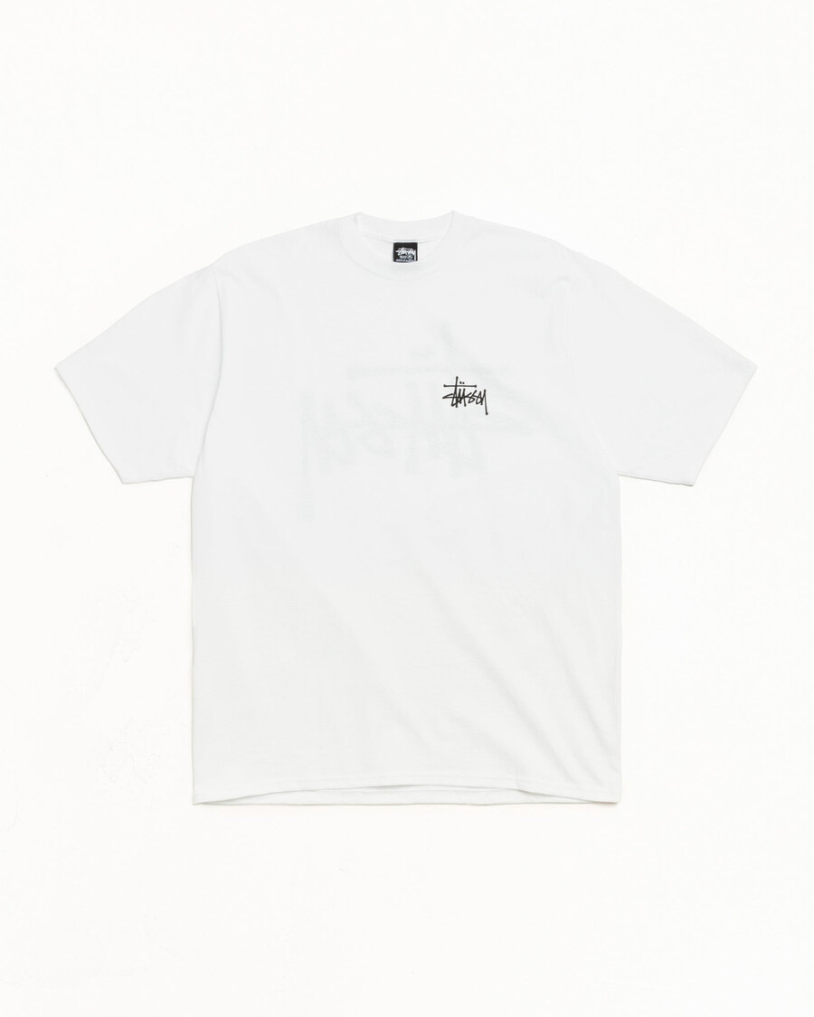 basic stüssy t-shirt
